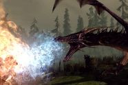 Dragon Age: Origins