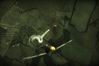 Wings of Prey