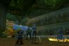 World of Warcraft