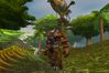 World of Warcraft