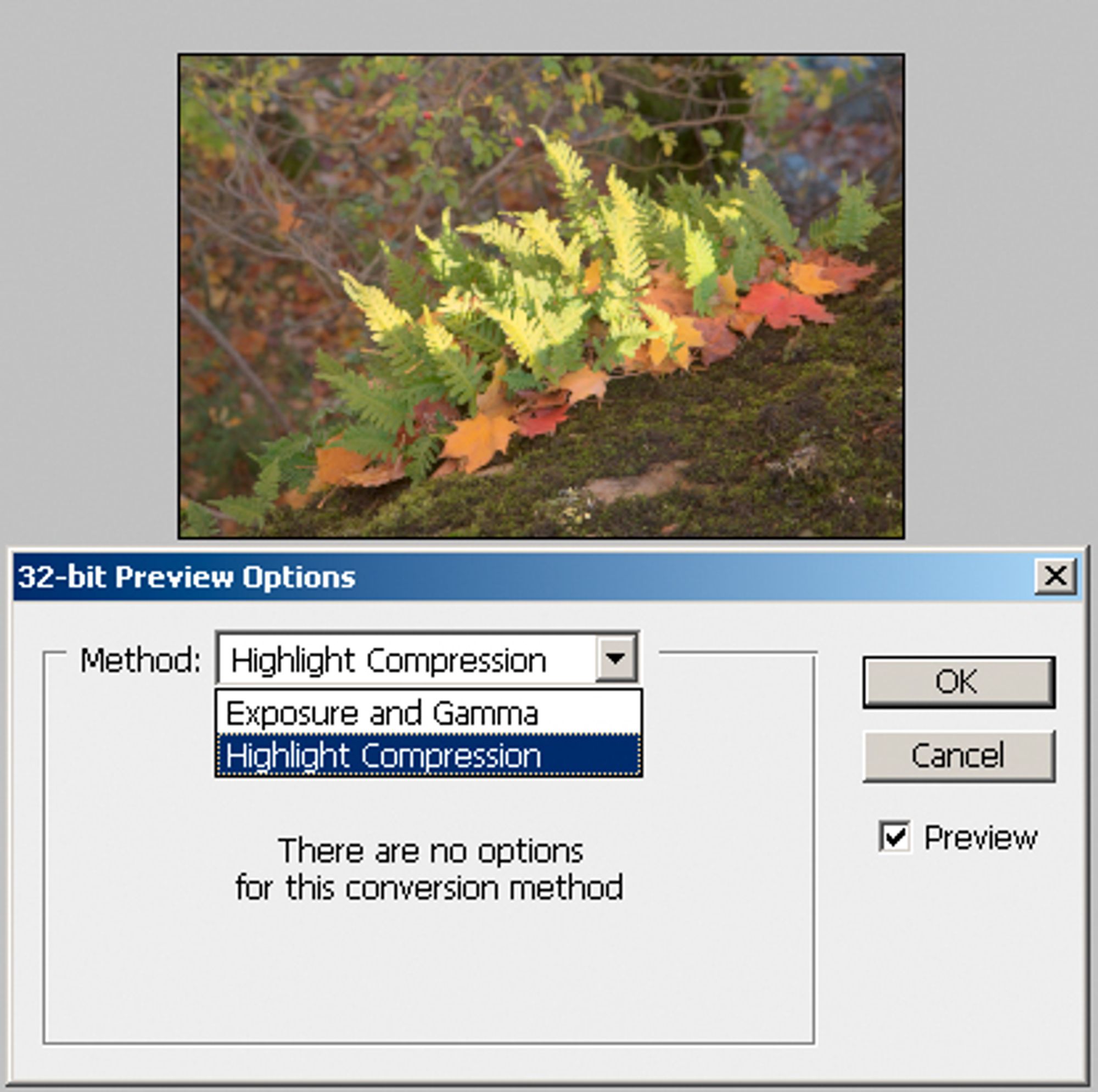 32 bit preview options