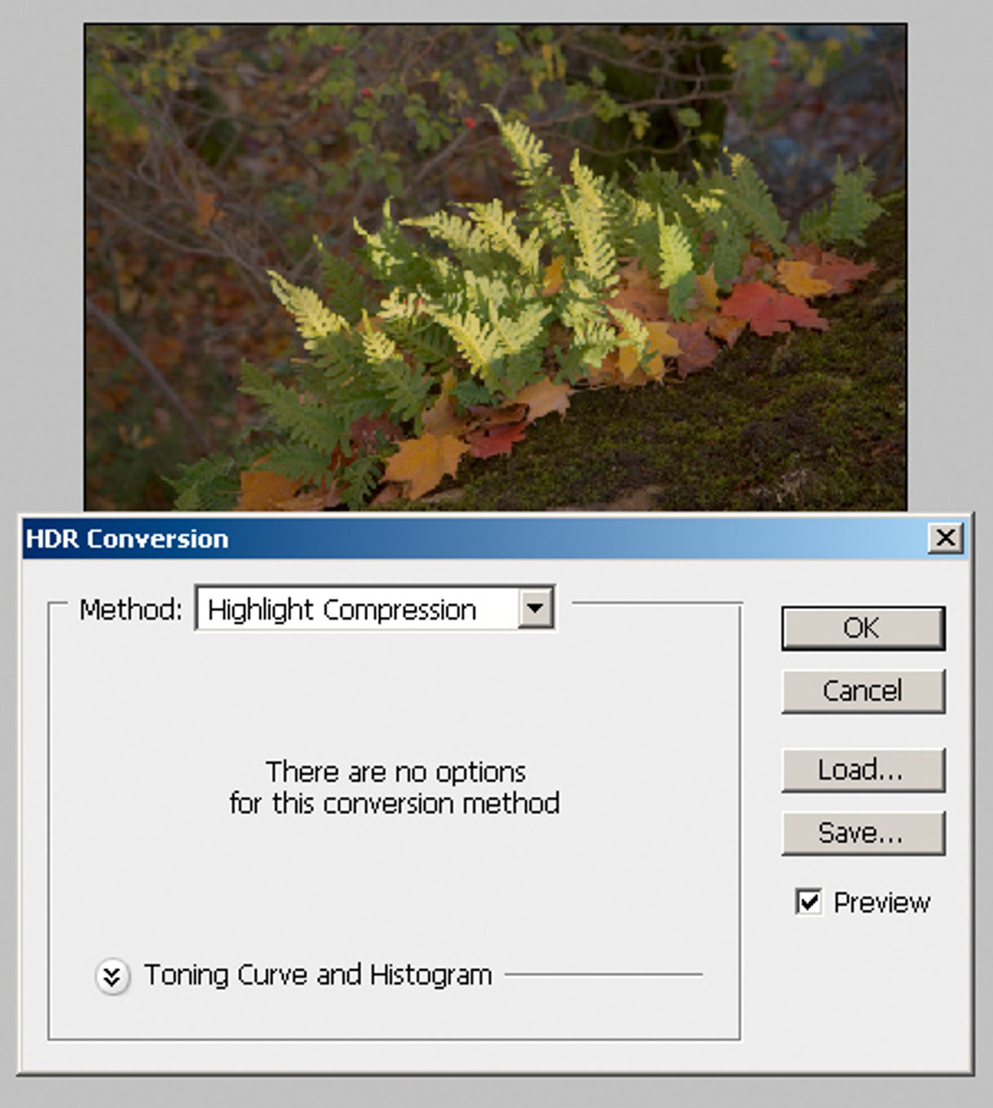 Tonemapping HC