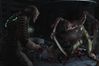 Dead Space