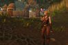 World of Warcraft