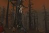 World of Warcraft