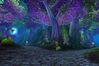 World of Warcraft