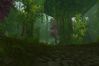 World of Warcraft