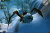 World of Warcraft
