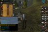 World of Warcraft