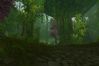 World of Warcraft