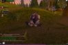 World of Warcraft