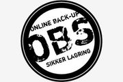 Les Hva er sikker lagring på nett?