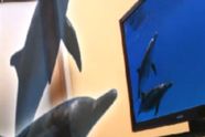 – Utenkelig at 3D-TV ikke tar av