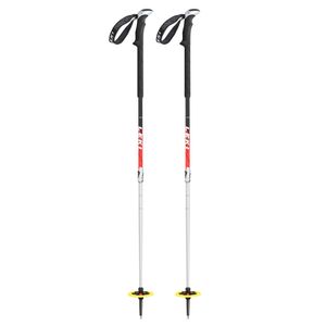 Leki Aergon II