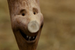 Les Liten knert i h�y definisjon