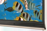 Verdens st�rste OLED-TV til Europa