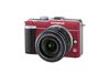 Olympus E-PL1