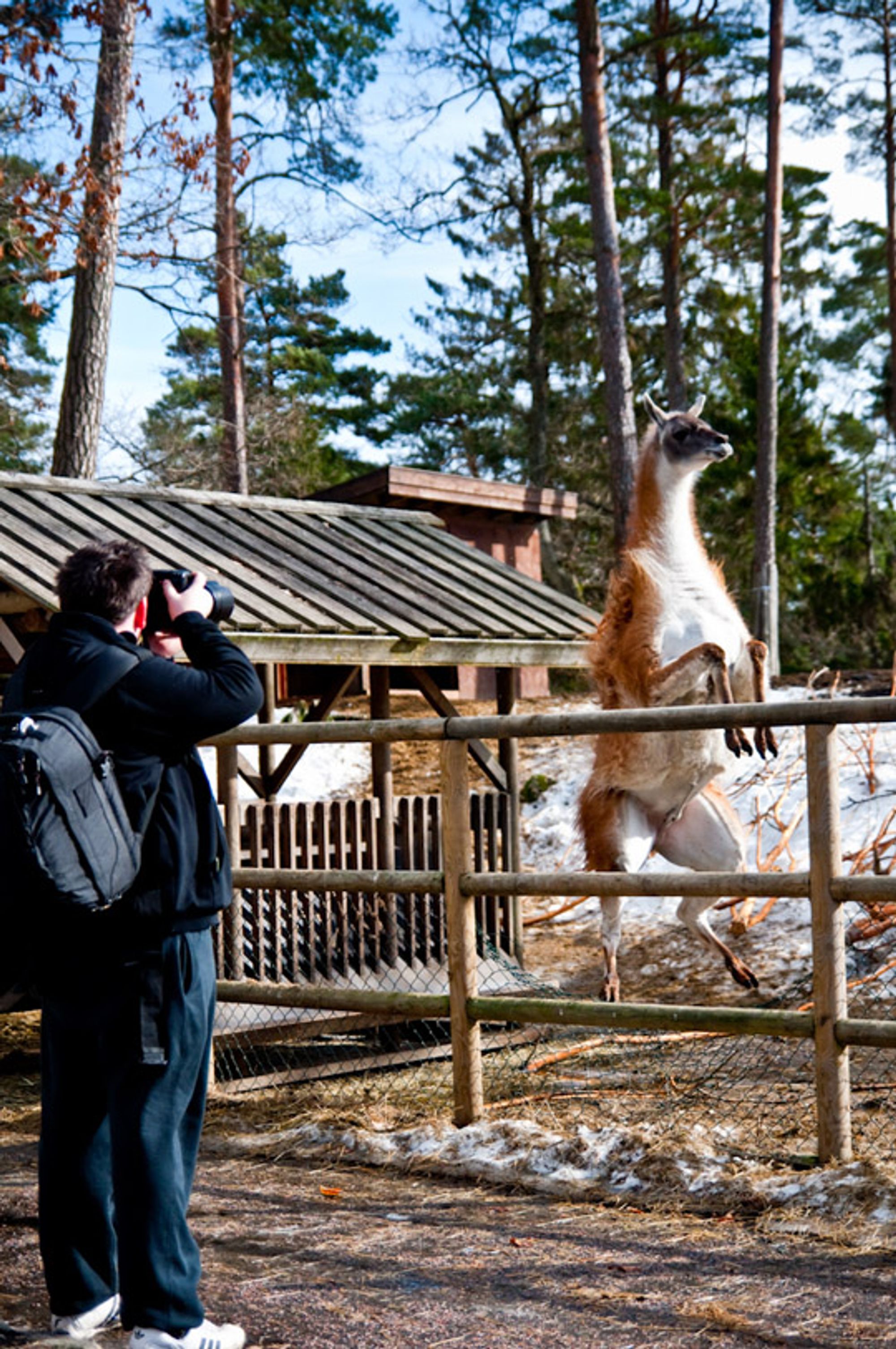 Posøren og fotografen I.
Foto: archongamer