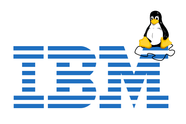 IBM: - Du kan ikke kontrollere Linux