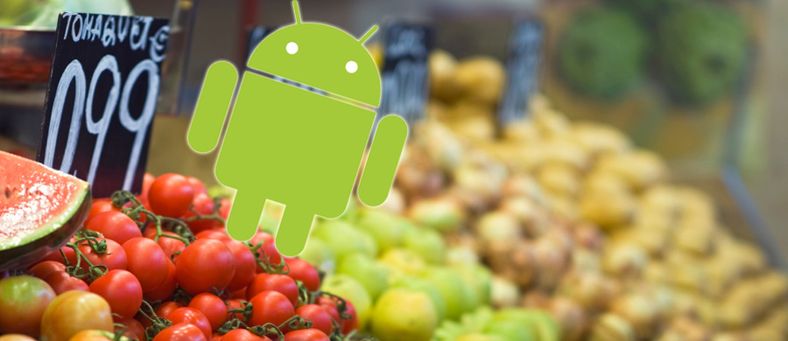 Lekkede bilder av Android 2.2