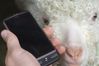 HTC Desire 