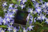 HTC Desire 