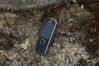 Nokia 3720 Classic
