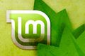 Linux Mint 9 ligger klar for nedlasting