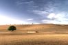 Gran Turismo 5