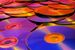 Les Blu-ray f�r �kt lagringskapasitet