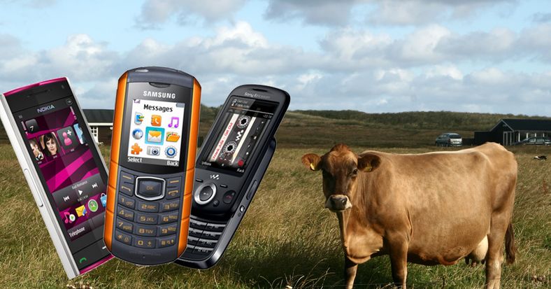 Disse mobilene slippes ut på beite i juli