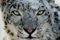 Feils�keverkt�y for Mac