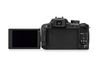 Panasonic Lumix DMC-FZ100