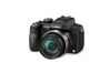 Panasonic Lumix DMC-FZ100