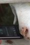 HTC-mobiler f�r "bedre" skjerm