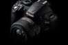 Nikon D3100