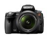 Sony SLT-A55