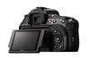 Sony Alpha DSLR-A560