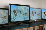 Stor samletest av 3D-TV-er
