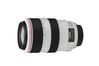Canon EF 70-300mm f/4-5.6L IS USM
