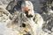 Black Ops f�r valutasystem
