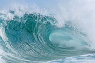 Google frigir Wave-koden