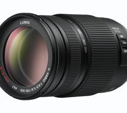 Panasonic LUMIX G VARIO 100-300 mm / F4.0-5.6 / MEGA O.I.S.