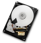 Hitachi Deskstar 7K3000 3TB