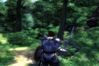 The Elder Scrolls IV: Oblivion