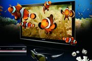 Les TV-skolen: Skal du kjøpe 3D-TV?