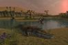 EverQuest II: Desert of Flames