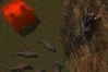 EverQuest II: Desert of Flames