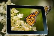Les – iPad 3 kommer ikke i år
