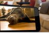 HTC Incredible S